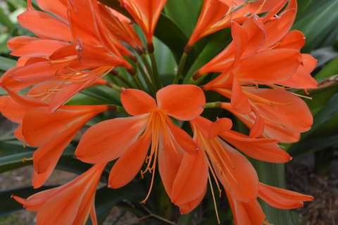 JE Guesthouse, Central To All The Hunter Valley Has To Offer - Australian Directory 39