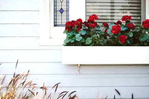 Morpeth Cottage - Australian Directory 41