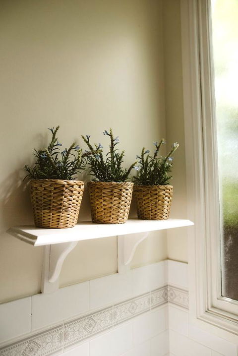 Morpeth Cottage - Australian Directory 31