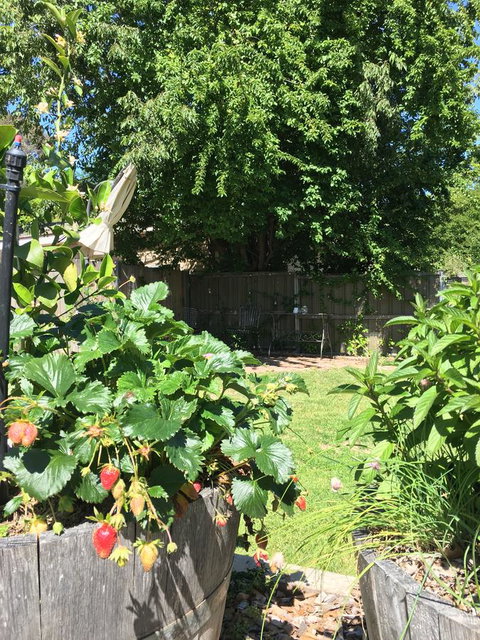 99 Hill Street Apartments - Australian Directory 24