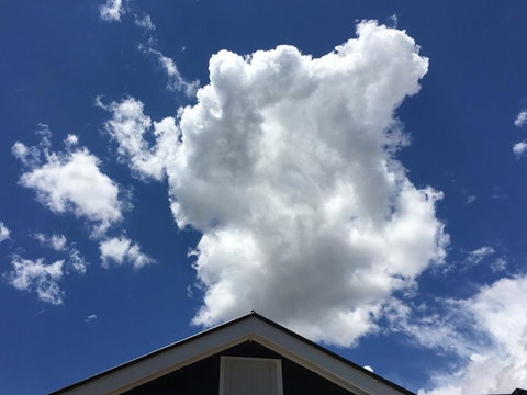 99 Hill Street Apartments - Australian Directory 18