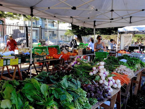 BONDI BEACH PRIME 1 Bedroom + Sunroom - Australian Directory 9