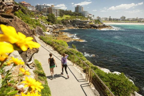 BONDI BEACH PRIME 1 Bedroom + Sunroom - Australian Directory 16