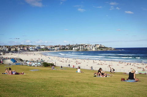BONDI BEACH PRIME 1 Bedroom + Sunroom - Australian Directory 11
