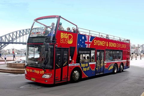 BONDI BEACH PRIME 1 Bedroom + Sunroom - Australian Directory 17