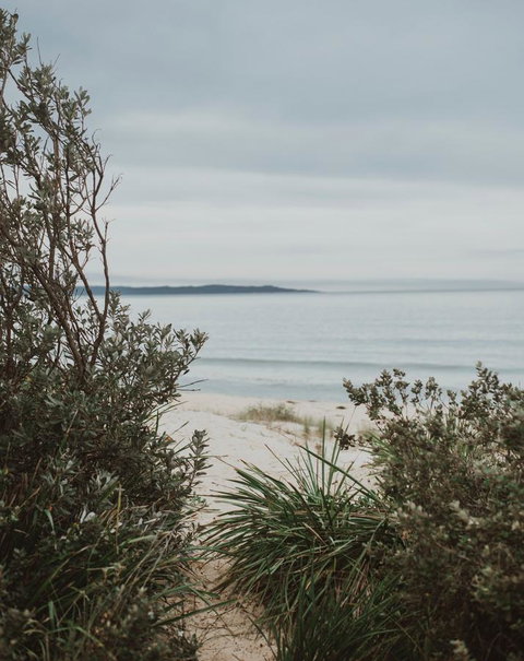 Salthouse Berrara - Australian Directory 18