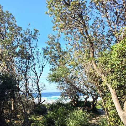 Salthouse Berrara - Australian Directory 22