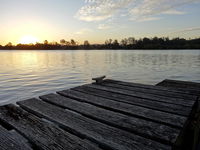 Book Urunga Accommodation Vacations Australian Directory Australian Directory
