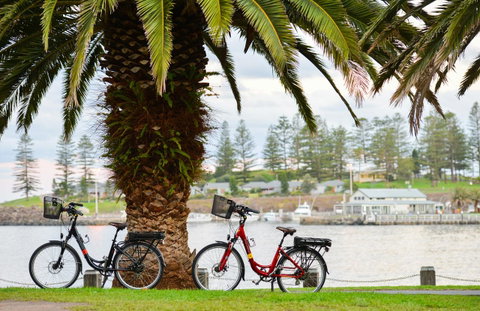 Belle Vue- Penthouse At Black Beach - Australian Directory 8