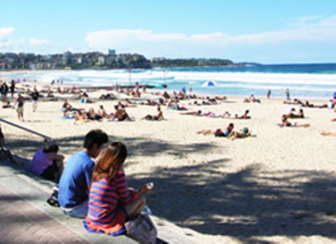 Manly Beachside Apartments - Australian Directory 19