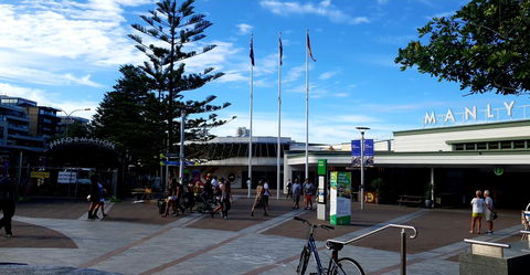 Manly Beachside Apartments - Australian Directory 20