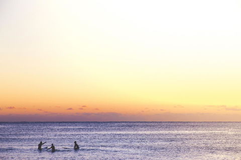 Manly Beachside Apartments - Australian Directory 16