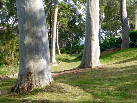 The Retreat At Palm Beach - Australian Directory 4
