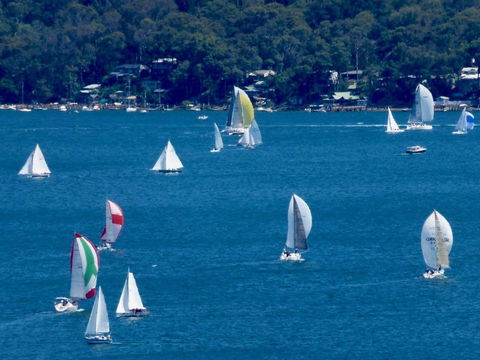 The Retreat At Palm Beach - Australian Directory 16