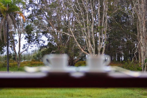 Estoy Cabarita - Australian Directory 6