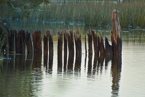 Estoy Cabarita - Australian Directory 7