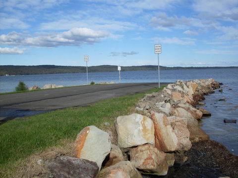 Bush & Bay Cottage - Australian Directory 5