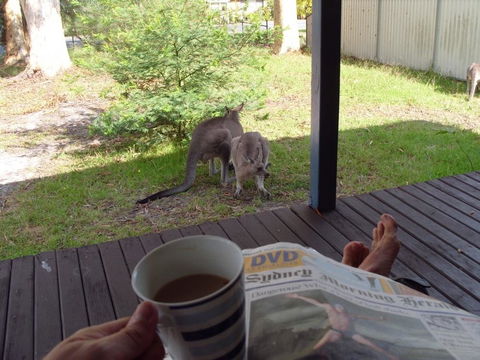 Bush & Bay Cottage - Australian Directory 29
