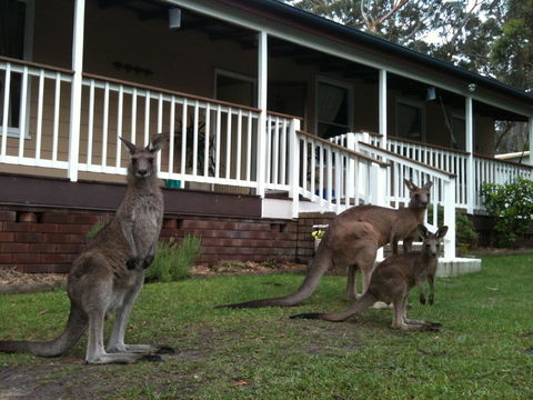 Bush & Bay Cottage - Australian Directory 30