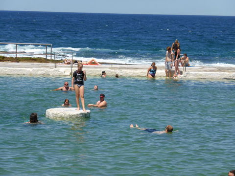 Arena Luxury Beachfront Apartment - Australian Directory 33