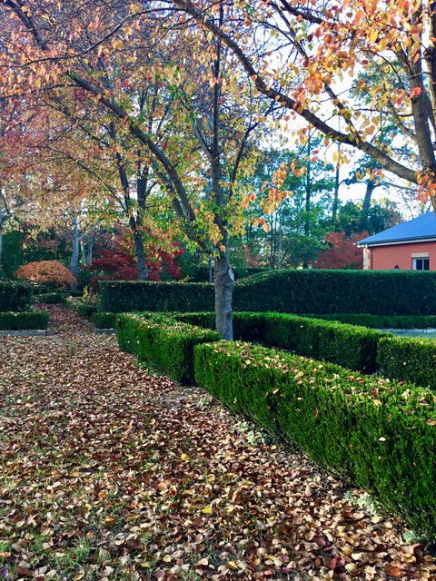 Chanticleer Gardens Barn Cottage With A Pool - Australian Directory 37