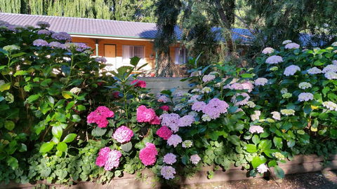 Moruya Motel - Australian Directory 28