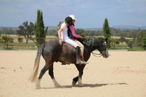 Belisi Farmstay Cottage - Australian Directory 28