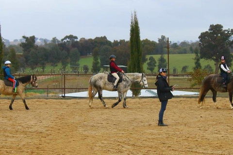 Belisi Farmstay Cottage - Australian Directory 34