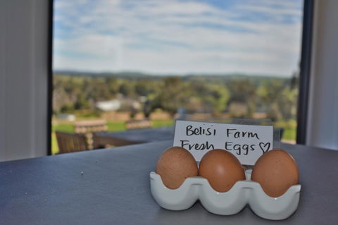 Belisi Farmstay Cottage - Australian Directory 20