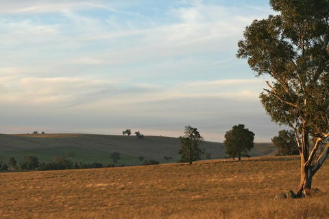 Belisi Farmstay Cottage - Australian Directory 33