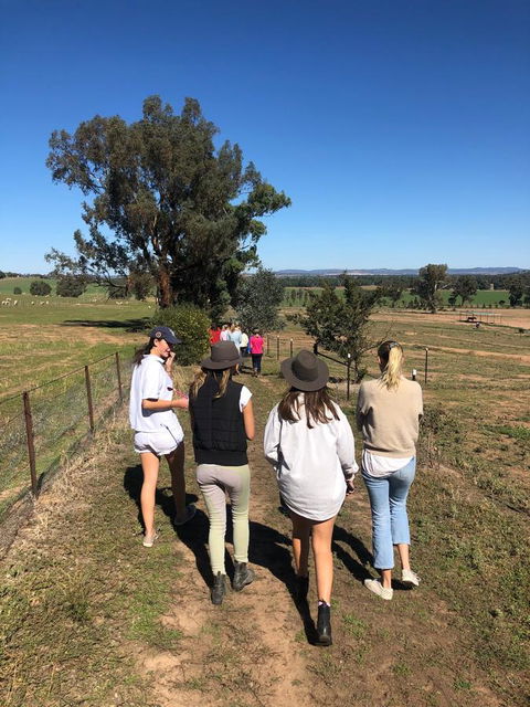Belisi Farmstay Cottage - Australian Directory 7
