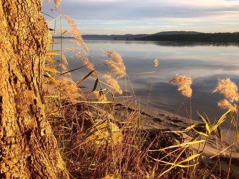 Lakeview Cottage - Australian Directory 14