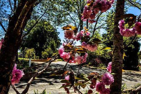 Bundanoon Lodge - Australian Directory 3