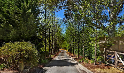 Bundanoon Lodge - Australian Directory 21