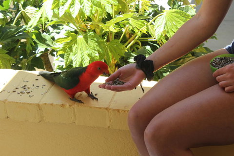 Bundanoon Lodge - Australian Directory 4