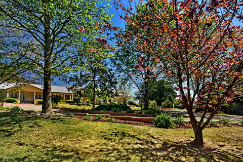 Bundanoon Lodge - Australian Directory 16