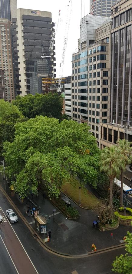 Madison Carrington Apartments - Australian Directory 1