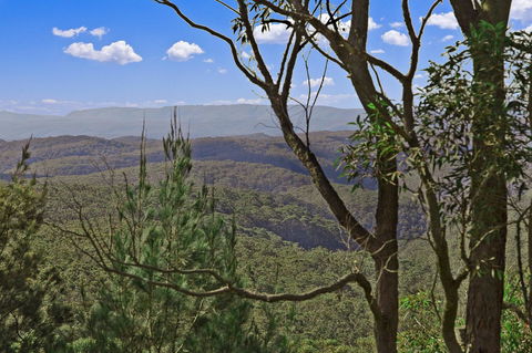 Mountainside B & B - Australian Directory 9
