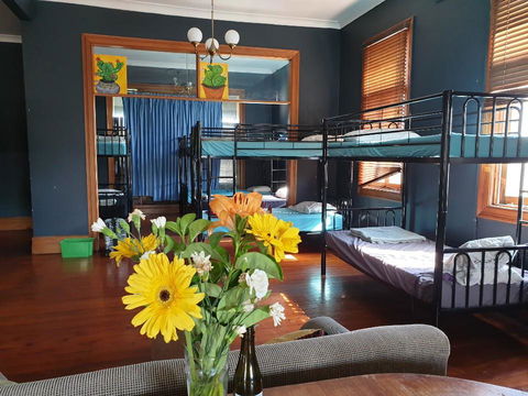 Clover Backpackers - Australian Directory 8
