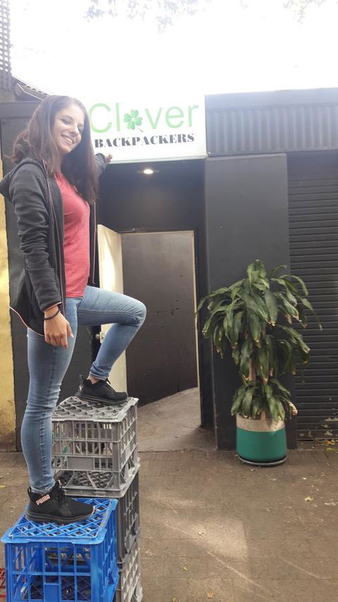 Clover Backpackers - Australian Directory 1