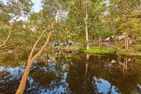 Arts Factory By Nomads - Australian Directory 12