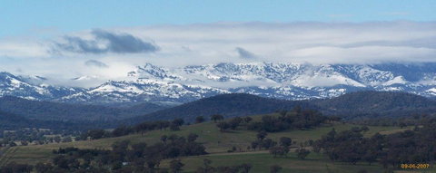 The Old Saddlery - Australian Directory 13