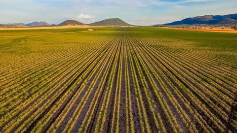 The Old Saddlery - Australian Directory 14