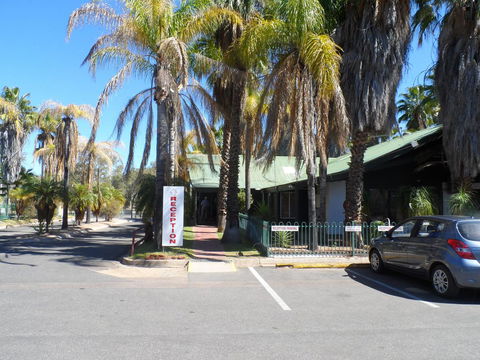 Desert Palms Alice Springs - Australian Directory 22