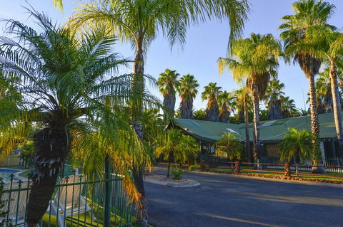 Desert Palms Alice Springs - Australian Directory 21