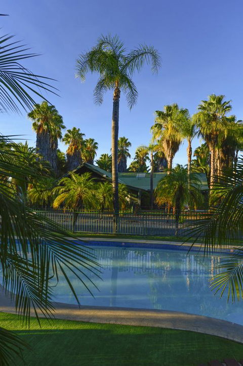 Desert Palms Alice Springs - Australian Directory 29