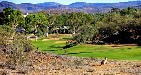 Desert Palms Alice Springs - Australian Directory 30