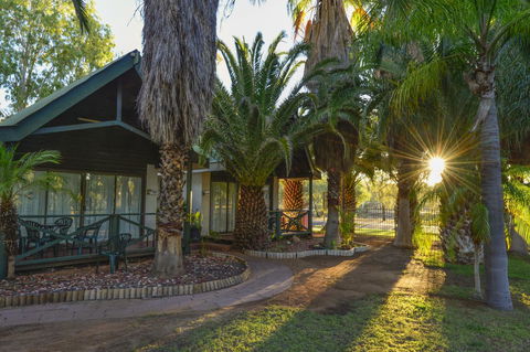 Desert Palms Alice Springs - Australian Directory 12