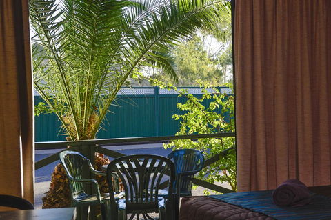 Desert Palms Alice Springs - Australian Directory 4