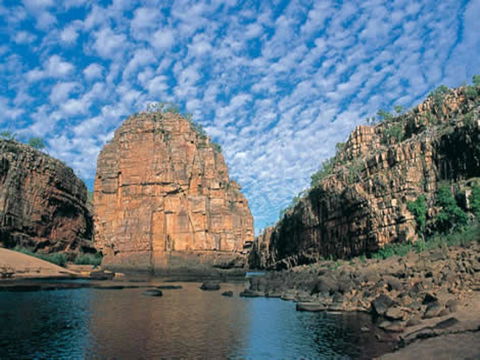 Pine Tree Motel - Australian Directory 42